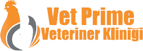 bivet